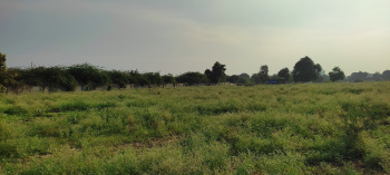  Agricultural Land for Rent in Chhani, Vadodara