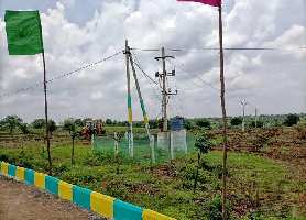  Agricultural Land for Sale in Narayankhed, Sangareddy