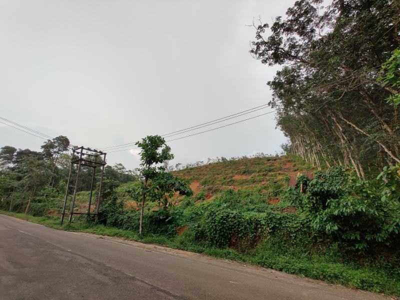  515 Cent Commercial Land for Sale in Nedumangad, Thiruvananthapuram