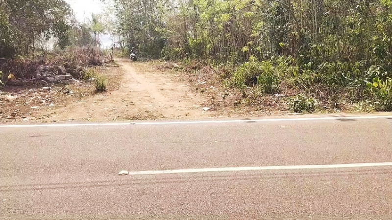  Residential Plot 246 Cent for Sale in Kottiyam, Kollam