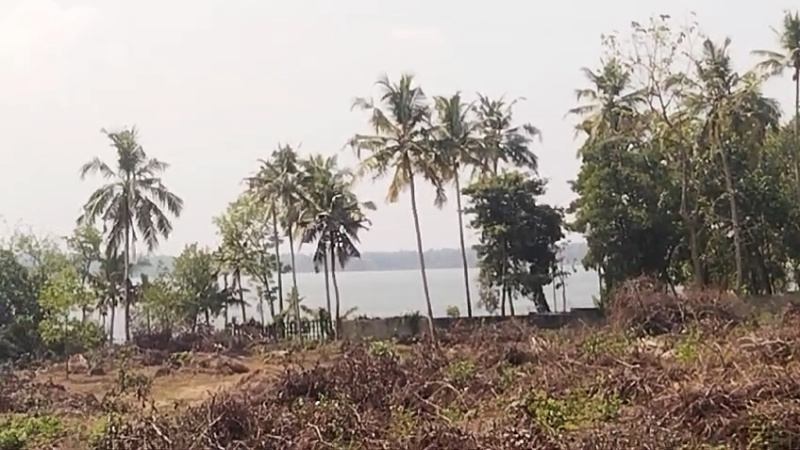  Residential Plot 246 Cent for Sale in Kottiyam, Kollam