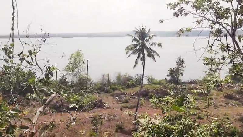  Residential Plot 246 Cent for Sale in Kottiyam, Kollam
