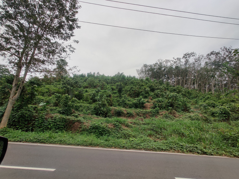  300 Cent Commercial Land for Sale in Nedumangad, Thiruvananthapuram