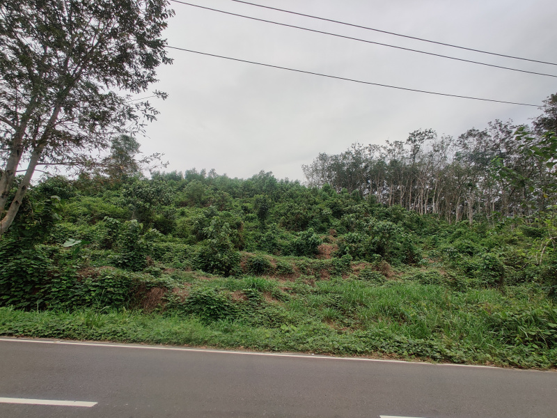  300 Cent Commercial Land for Sale in Nedumangad, Thiruvananthapuram