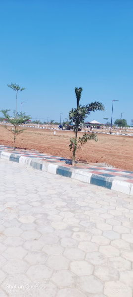  Residential Plot 202 Sq. Yards for Sale in Sadasivpet, Sangareddy