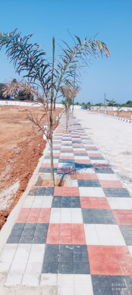  Residential Plot 202 Sq. Yards for Sale in Sadasivpet, Sangareddy