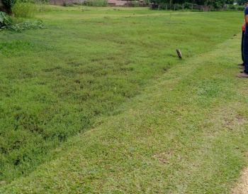  Residential Plot for Sale in Ambicapatty, Silchar