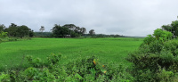  Residential Plot for Sale in Ambicapatty, Silchar