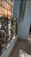 3 BHK Flat for Rent in College Road, Silchar