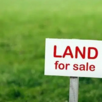  Residential Plot for Sale in Fairlands, Salem