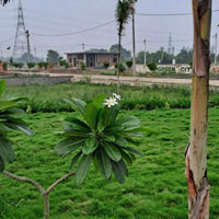  Residential Plot for Sale in Gaur Green City, Ghaziabad