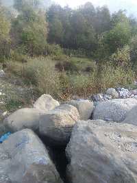  Agricultural Land for Sale in Hadimba Temple Road, Manali