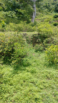  Residential Plot for Sale in Nahan, Sirmour
