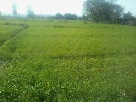  Agricultural Land for Sale in Naika, Kheda