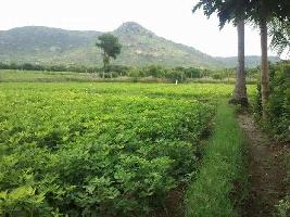  Agricultural Land for Sale in Dharmaj Manej, Anand