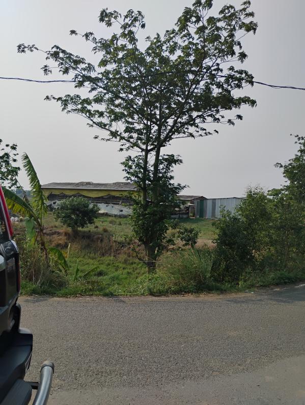 Residential Plot 1200 Sq.ft. for Sale in Sampatchak, Patna