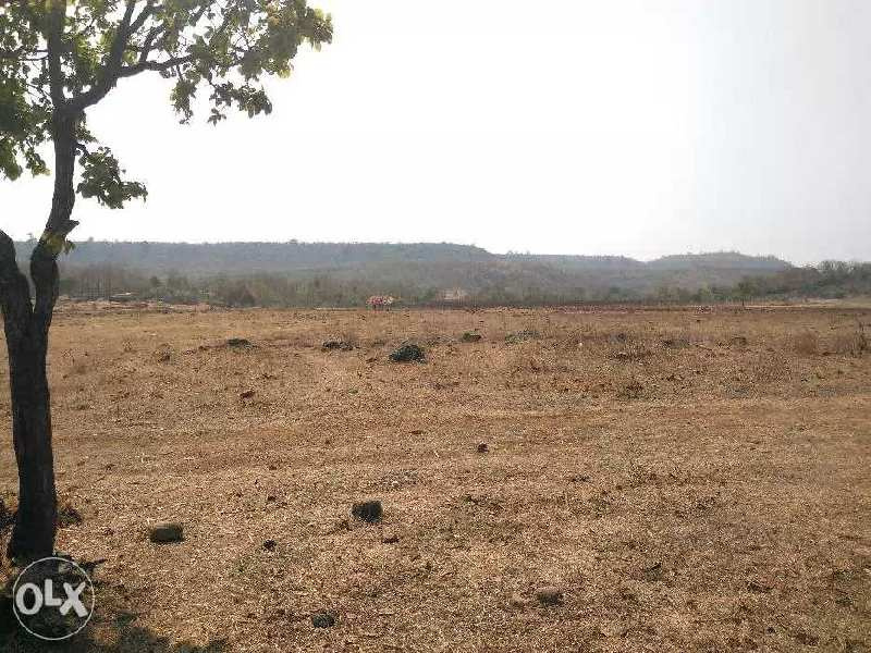 Jamalpur, Bardhaman photo 3