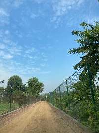  Agricultural Land for Sale in Sohna Palwal Road, Gurgaon