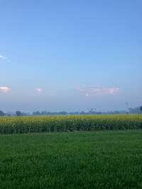  Agricultural Land for Sale in Ghasera, Nuh