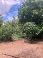 4 BHK Farm House for Sale in Sohna Palwal Road, Gurgaon