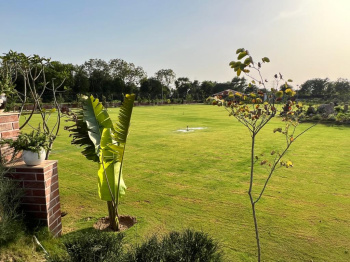  Agricultural Land for Sale in Sohna Road, Gurgaon
