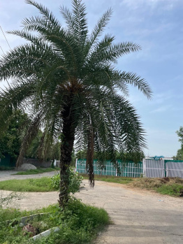  Agricultural Land for Sale in Sohna Palwal Road, Gurgaon