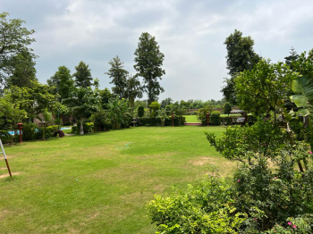  Agricultural Land for Sale in Sohna Palwal Road, Gurgaon