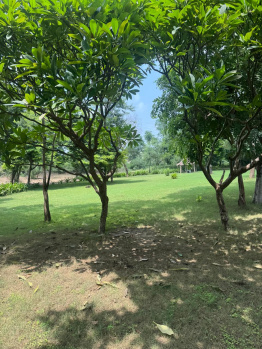  Agricultural Land for Sale in Sohna, Gurgaon