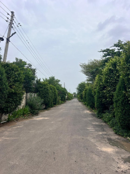  Agricultural Land for Sale in Sohna Road, Faridabad