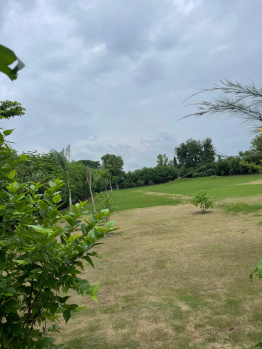  Agricultural Land for Sale in Sohna Palwal Road, Gurgaon