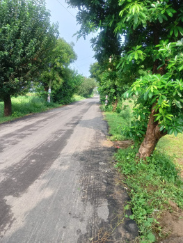  Agricultural Land for Sale in Sohna Road, Faridabad