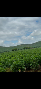  Agricultural Land for Sale in Naugaon, Alwar