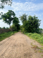  Agricultural Land for Sale in Sohna Road, Faridabad