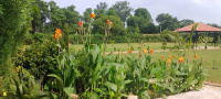  Agricultural Land for Sale in Sohna Palwal Road, Gurgaon