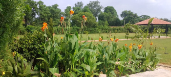  Agricultural Land for Sale in Sohna, Gurgaon