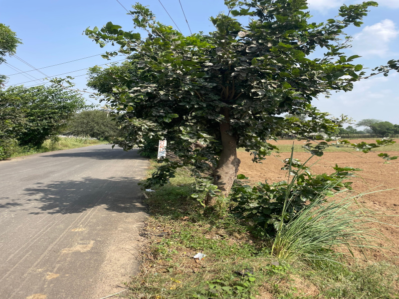 Sohna Road, Faridabad photo 4