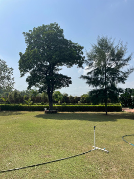  Agricultural Land for Sale in Sohna Palwal Road, Gurgaon