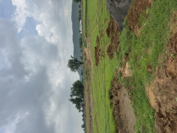  Agricultural Land for Sale in Deeg, Bharatpur