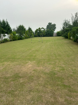  Agricultural Land for Sale in Pahari, Bharatpur