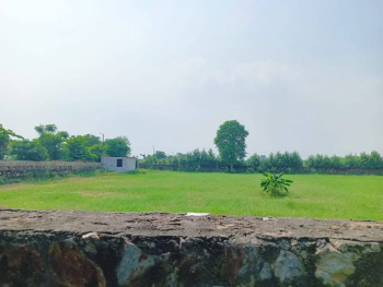  Agricultural Land for Sale in Sohna Road, Faridabad