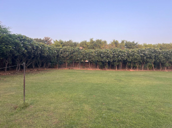  Agricultural Land for Sale in Sohna Road, Faridabad