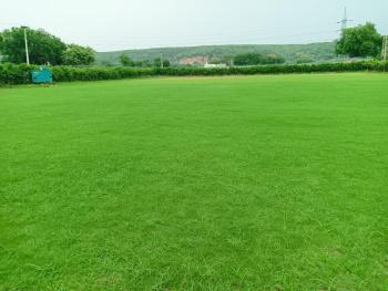  Agricultural Land for Sale in Sohna Palwal Road, Gurgaon