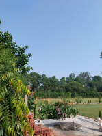  Agricultural Land for Sale in Ferozepur Jhirka, Nuh