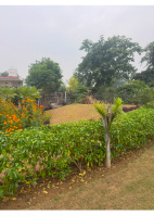 2.5 BHK Farm House for Sale in Sohna, Gurgaon