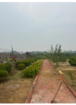 2 BHK Farm House for Sale in Sohna, Gurgaon