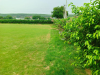  Agricultural Land for Sale in Sohna Road, Faridabad