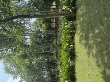  Agricultural Land for Sale in Ferozepur Jhirka, Nuh