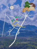 Agricultural Land for Sale in Tauru, Nuh
