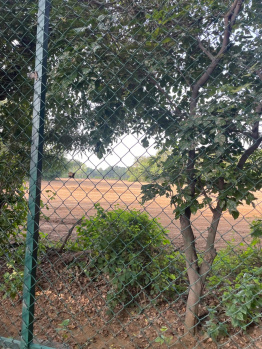  Agricultural Land for Sale in Pahari, Bharatpur