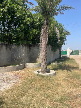 Agricultural Land for Sale in Sohna, Gurgaon